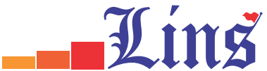 Lins Consult Logo